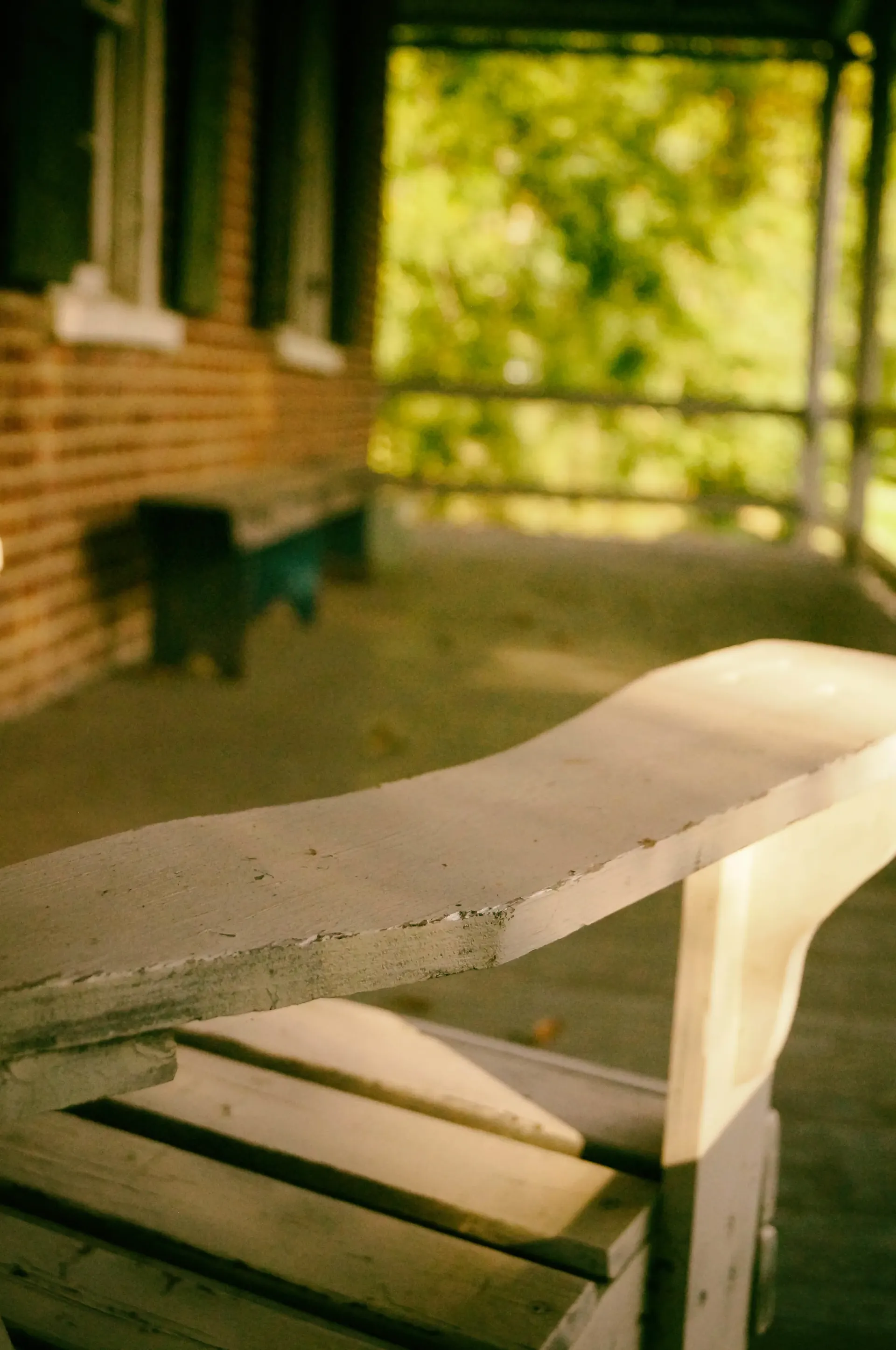 That Summer Seemed to Last Forever - 